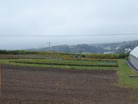 Franziskuswee 1.10.2016 186