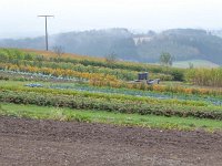 Franziskuswee 1.10.2016 188