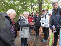 Franziskuswee 1.10.2016 194