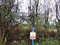 Franziskuswee 1.10.2016 246