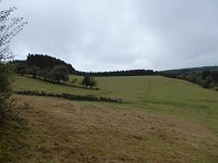 Franziskuswee 1.10.2016 263