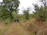 Franziskuswee 1.10.2016 265