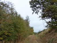 Franziskuswee 1.10.2016 268