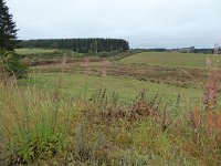 Franziskuswee 1.10.2016 269