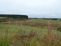 Franziskuswee 1.10.2016 270
