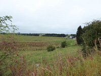 Franziskuswee 1.10.2016 271