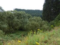 Franziskuswee 1.10.2016 274