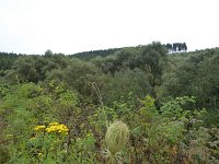 Franziskuswee 1.10.2016 283