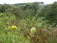 Franziskuswee 1.10.2016 284