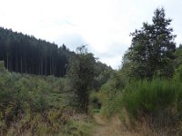 Franziskuswee 1.10.2016 301