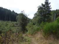 Franziskuswee 1.10.2016 302