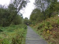 Franziskuswee 1.10.2016 307
