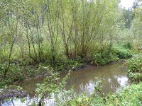 Franziskuswee 1.10.2016 308