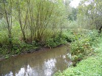 Franziskuswee 1.10.2016 309