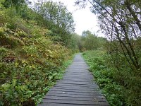 Franziskuswee 1.10.2016 310