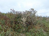 Franziskuswee 1.10.2016 314