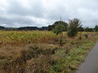 Franziskuswee 1.10.2016 317