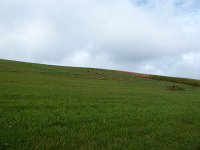 Franziskuswee 1.10.2016 321