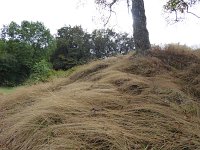 Franziskuswee 1.10.2016 378