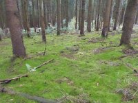 Franziskuswee 1.10.2016 432