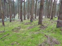 Franziskuswee 1.10.2016 433