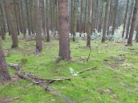 Franziskuswee 1.10.2016 434
