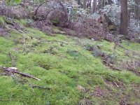 Franziskuswee 1.10.2016 435