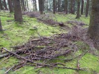 Franziskuswee 1.10.2016 438