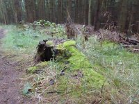Franziskuswee 1.10.2016 440
