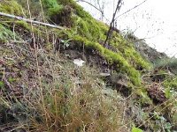 Franziskuswee 1.10.2016 442
