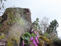 Franziskuswee 1.10.2016 443