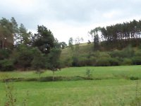 Franziskuswee 1.10.2016 444