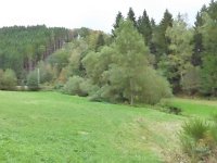 Franziskuswee 1.10.2016 445