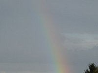 Franziskuswee 1.10.2016 518
