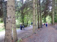 Franziskuswee 1.10.2016 036
