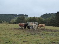 Franziskuswee 1.10.2016 038