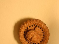 IMG 0238