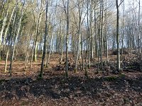 de Wee 16.2.2017 057