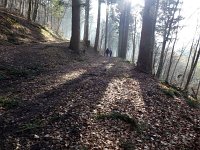de Wee 16.2.2017 066