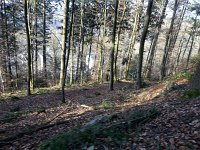 de Wee 16.2.2017 069