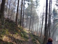 de Wee 16.2.2017 070