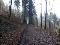de Wee 16.2.2017 073