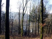 de Wee 16.2.2017 076