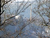 de Wee 16.2.2017 079