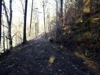 de Wee 16.2.2017 090