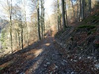 de Wee 16.2.2017 094