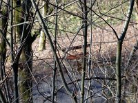de Wee 16.2.2017 107