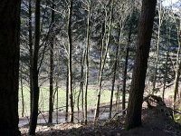de Wee 16.2.2017 111