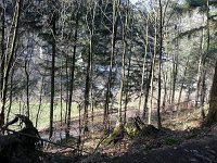 de Wee 16.2.2017 112