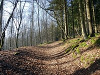 de Wee 16.2.2017 210